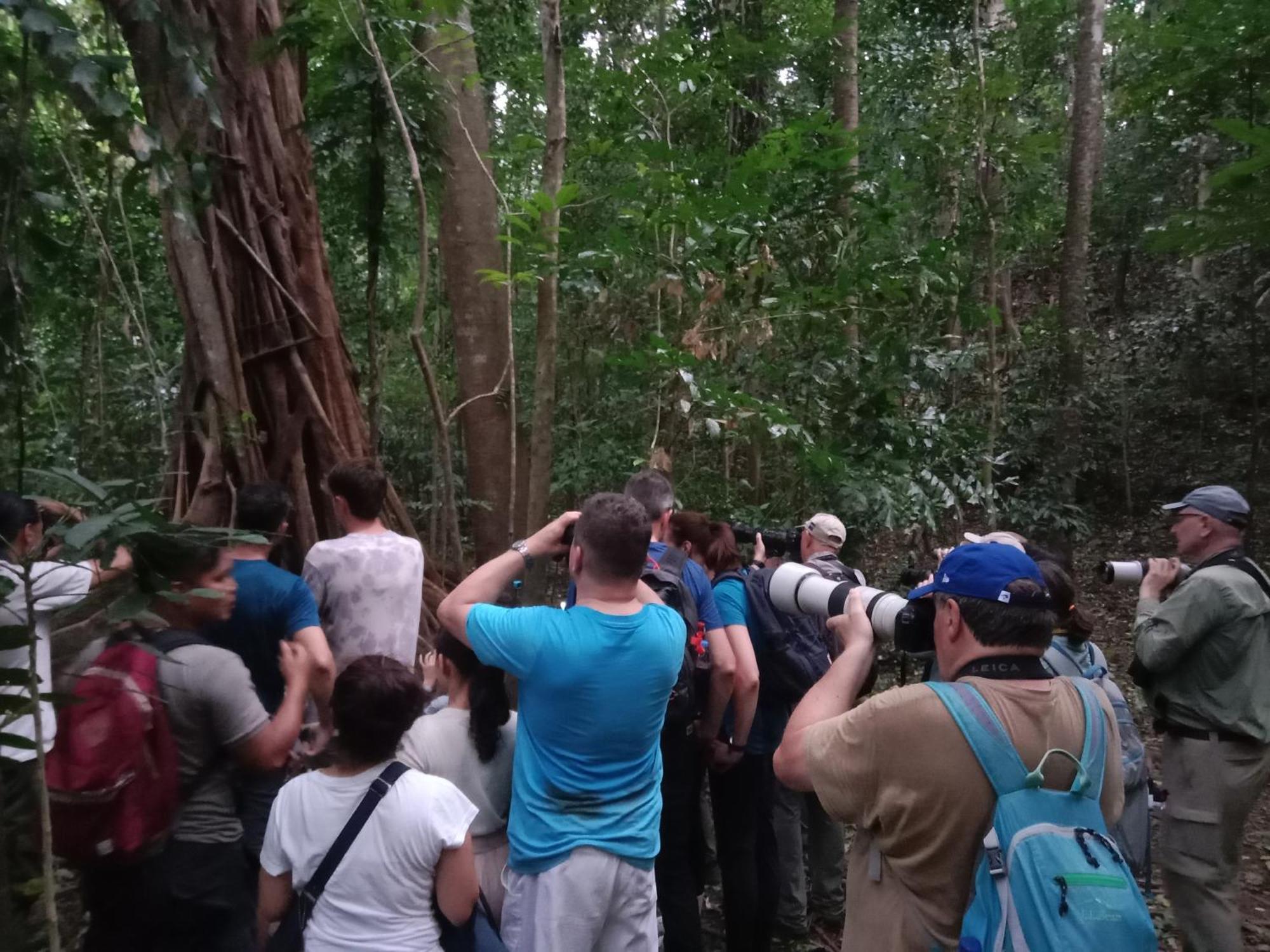 Tangkoko Backpacker Home Stay Rinondoran Ngoại thất bức ảnh