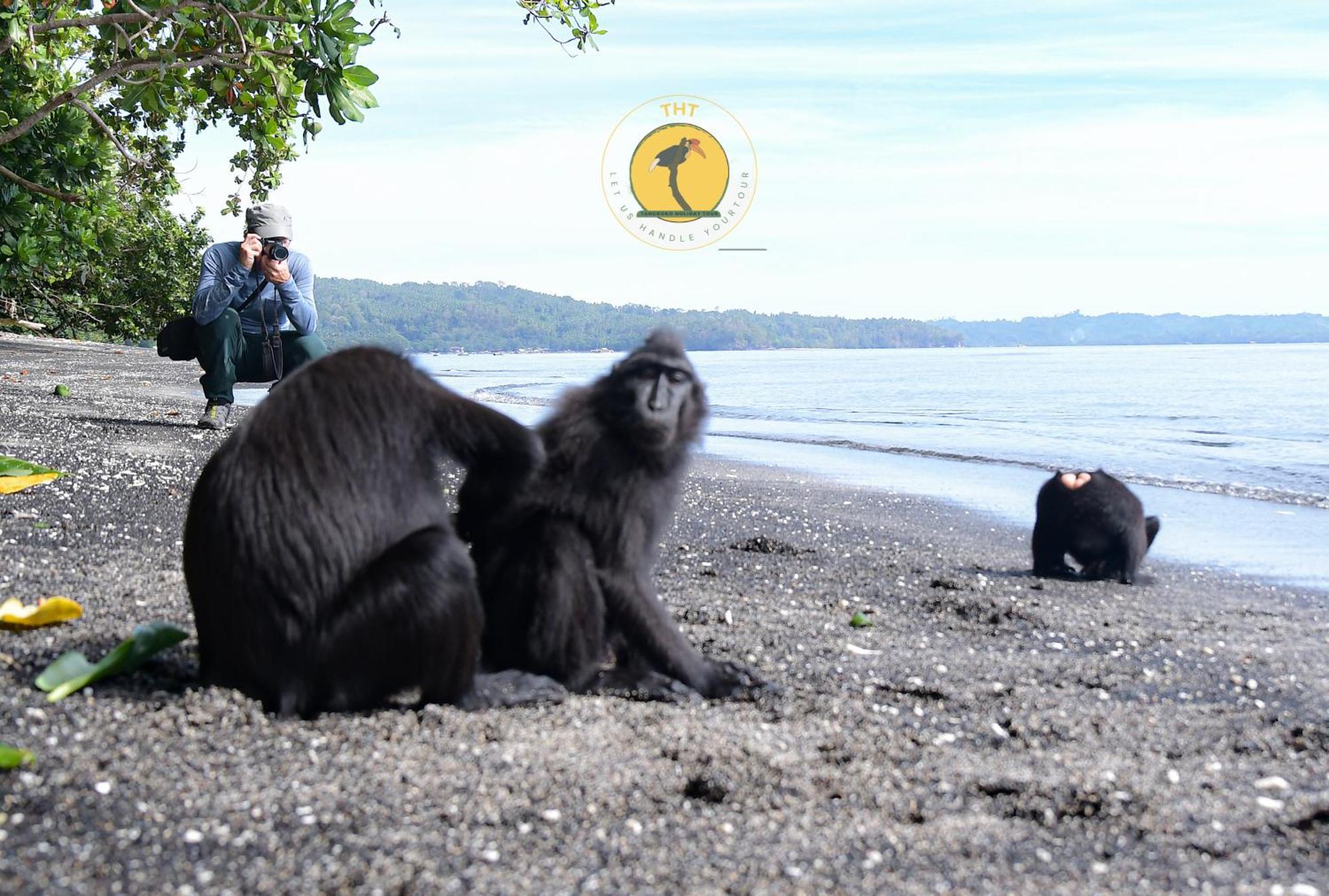 Tangkoko Backpacker Home Stay Rinondoran Ngoại thất bức ảnh